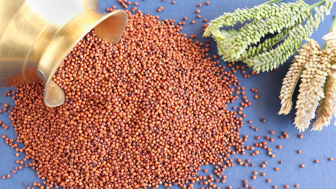 Brown Millet